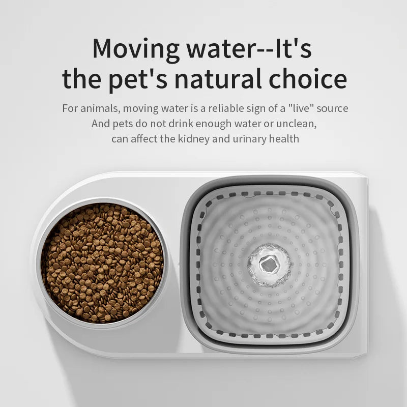 Cat 2 in 1 Automatic Water Fountain