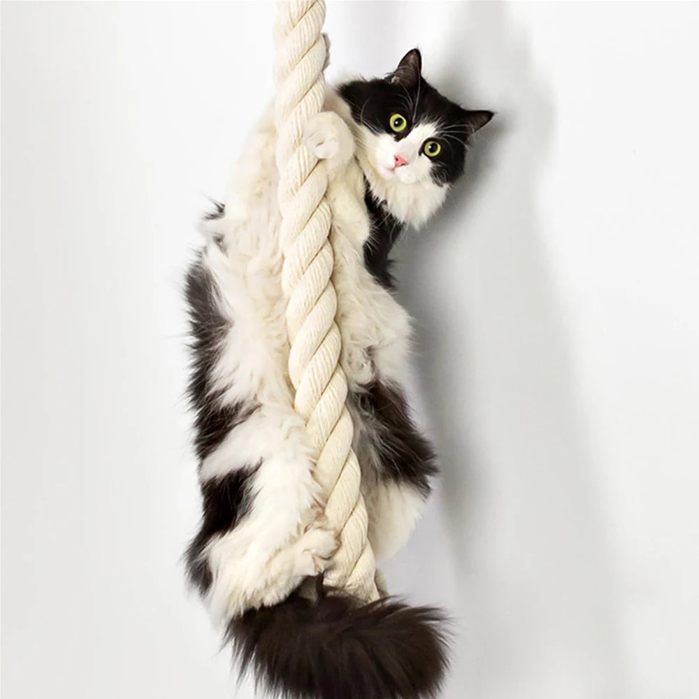 Wall-Mounted Cat Climbing Rope