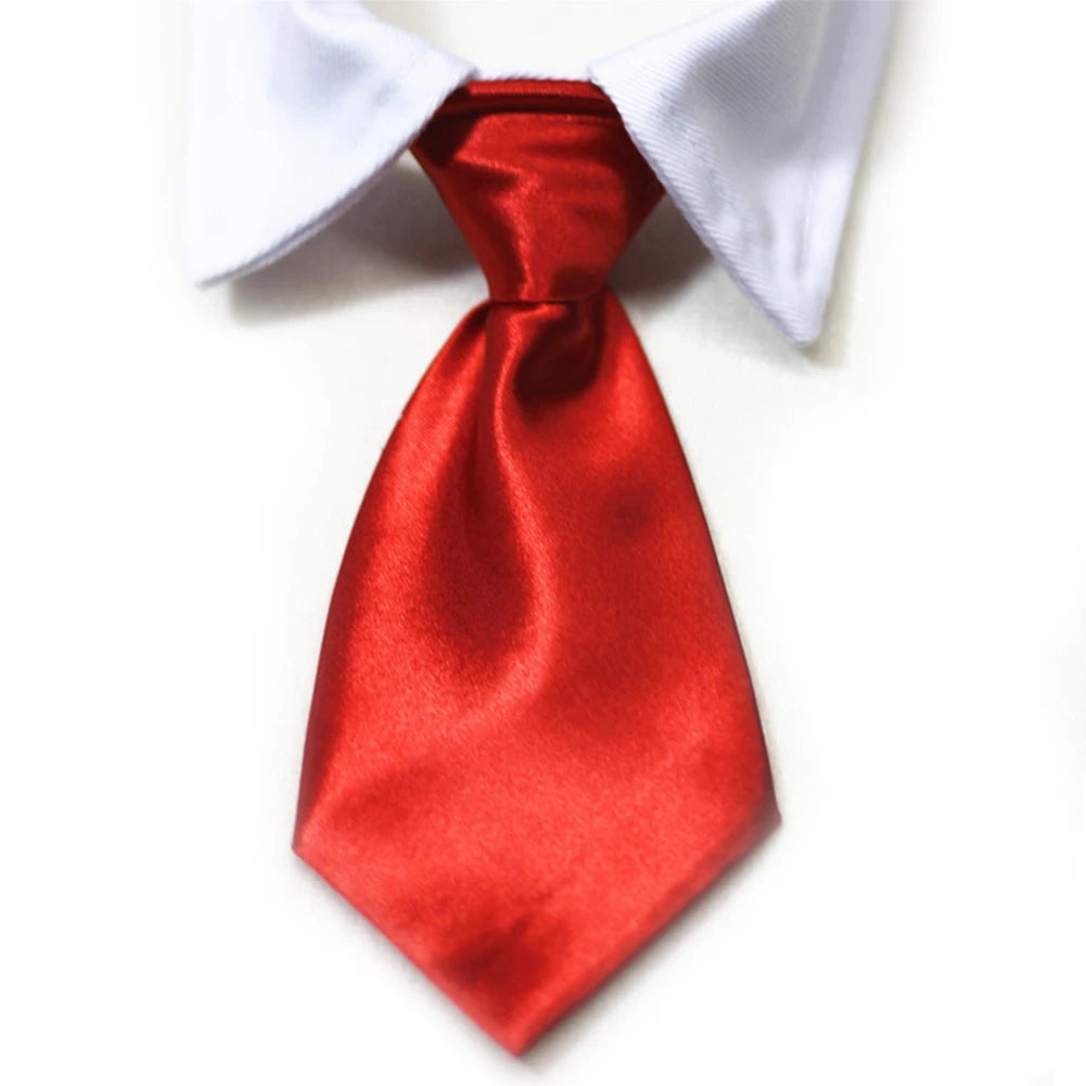Pet Necktie