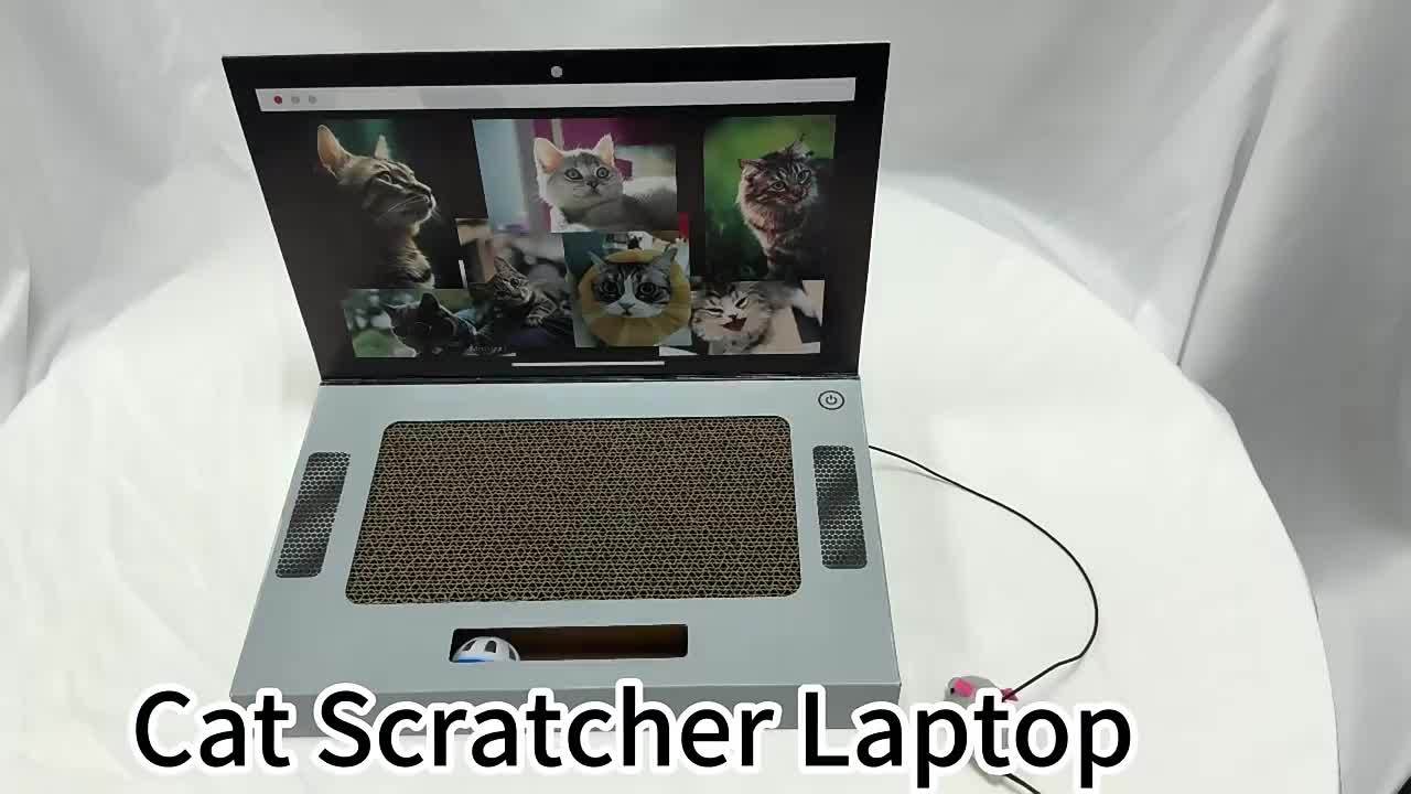 Cat Scratch Laptop