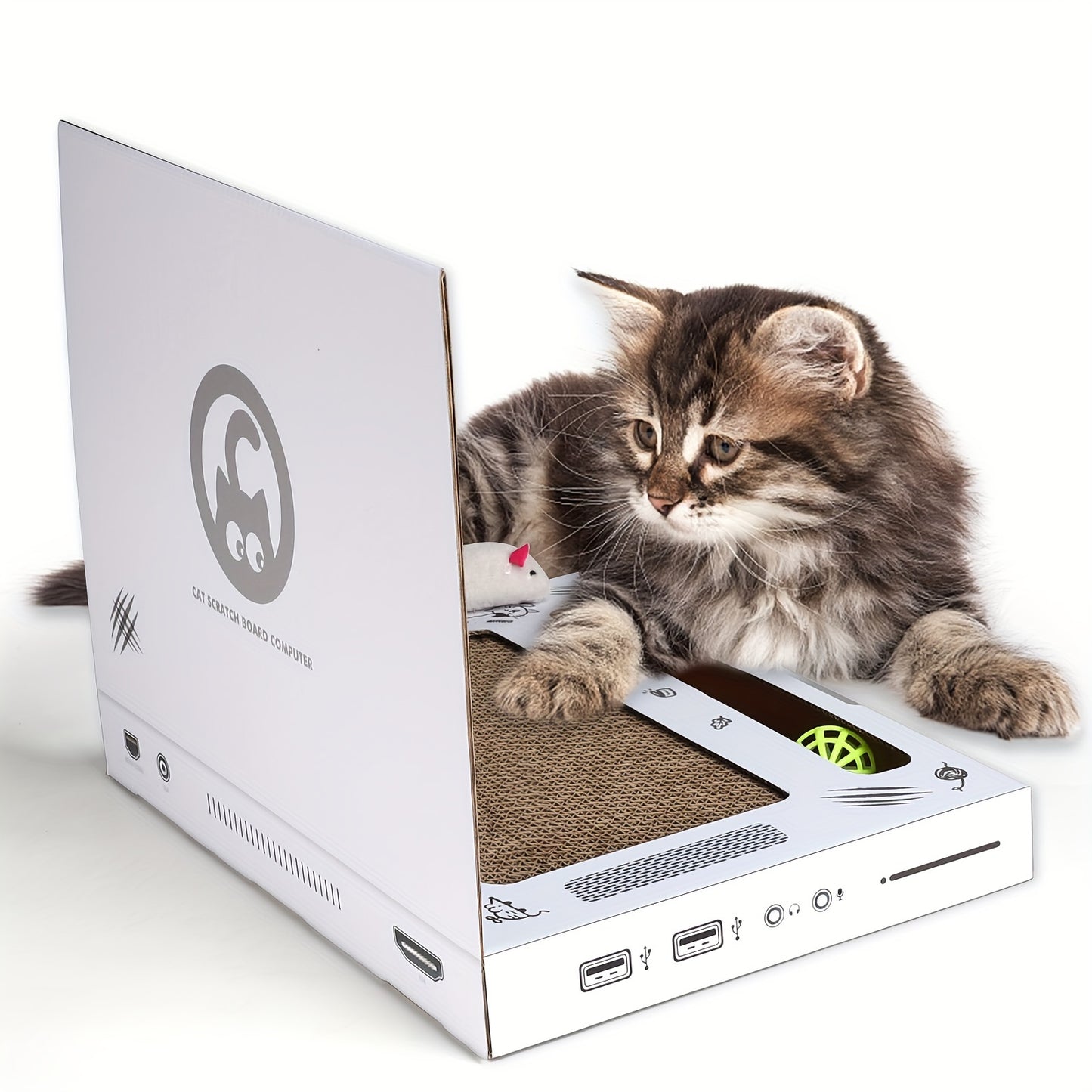 Cat Scratch Laptop