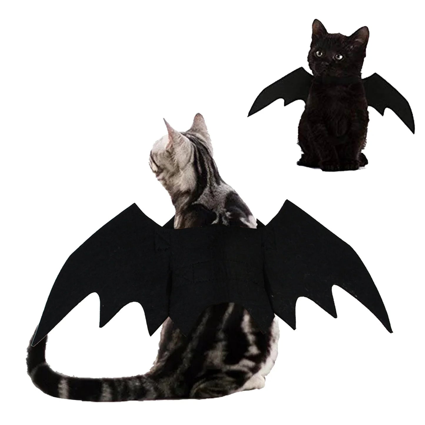 Cute Bat wings For Cats