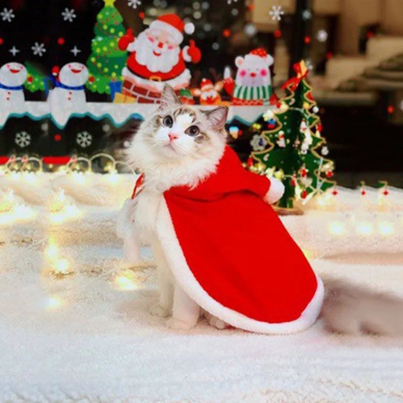 Cat Costume Santa