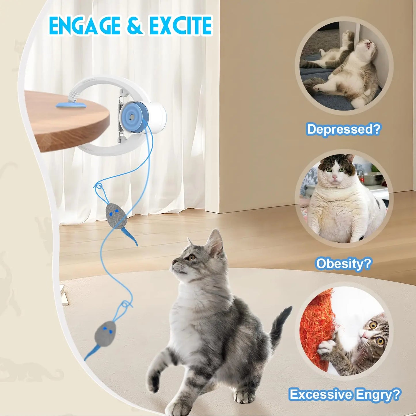 Auto-Rebound Hanging Cat Toy