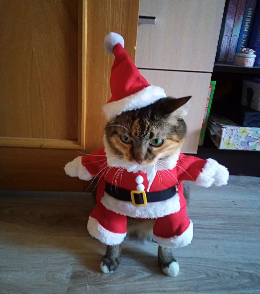 Cat Christmas Costume