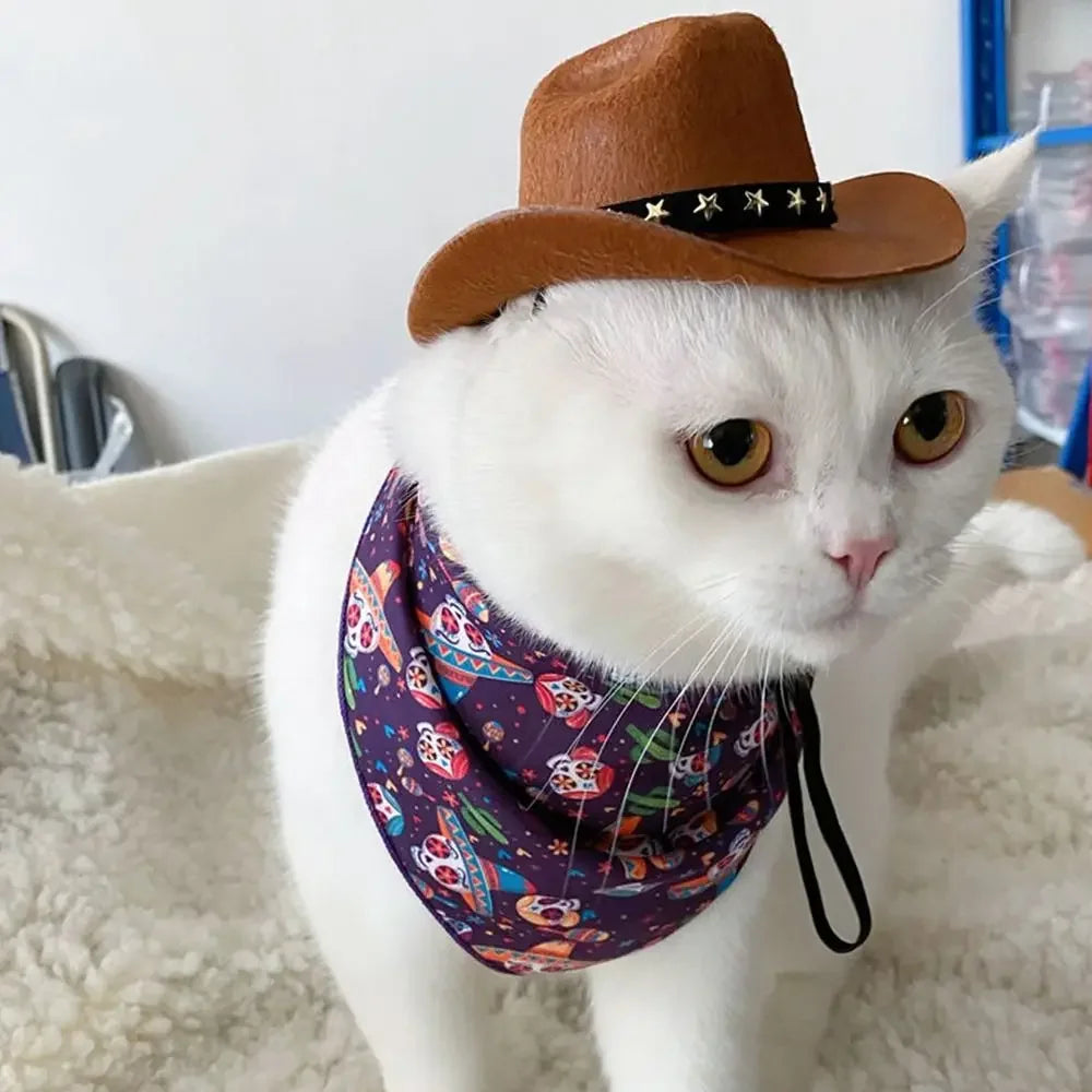 Hat Star Cowboy