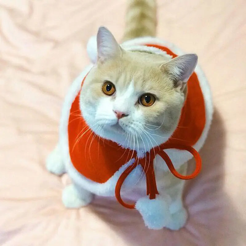 Cat Costume Santa