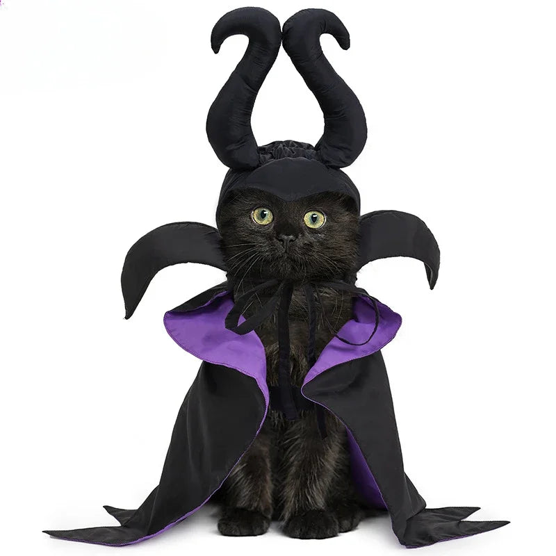 Halloween Cat Costumes