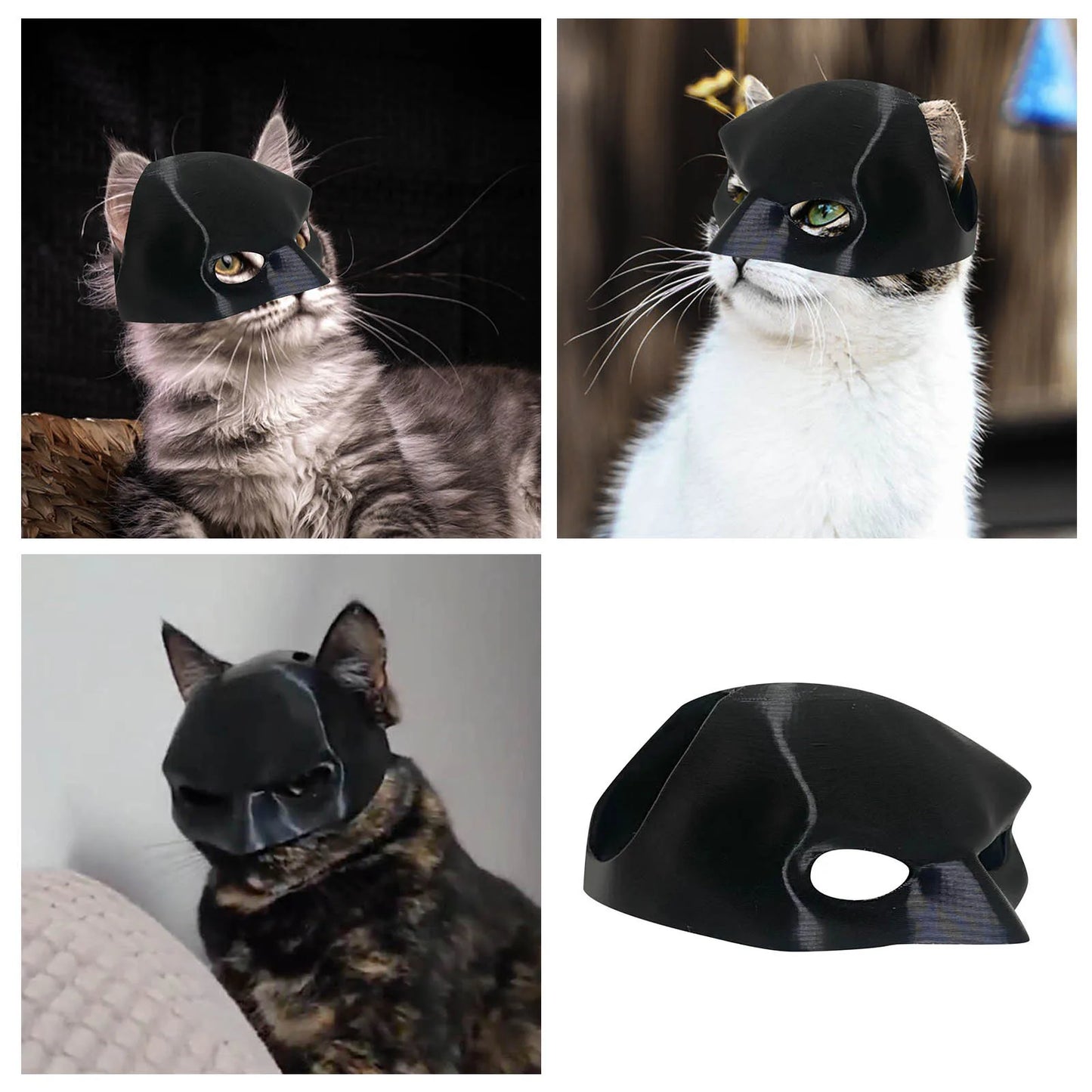 Bat Cat 3D