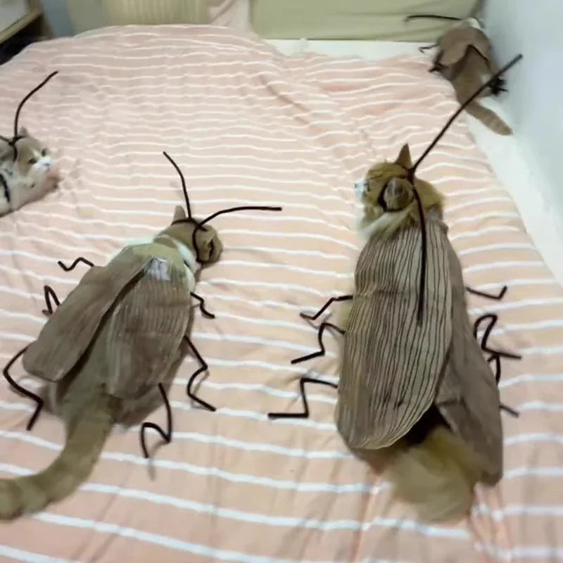 Cockroach Cat Costume – Funny Halloween Pet Outfit 🪳🐾