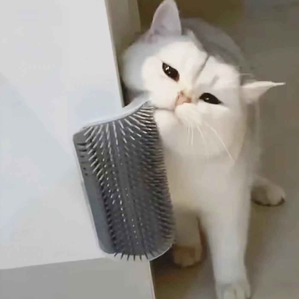 Massager for Cats