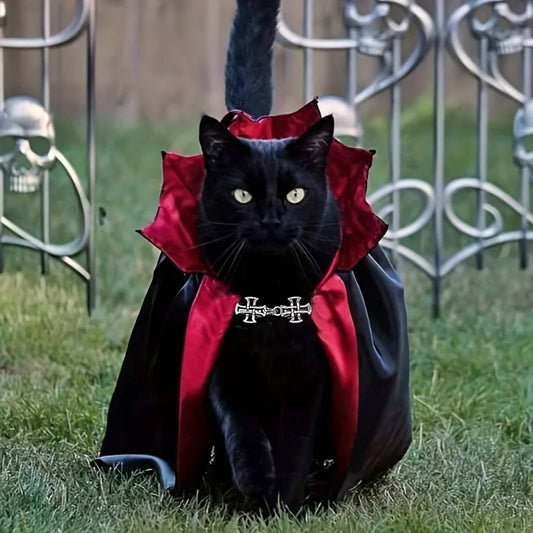 Spooky Halloween Vampire Couture for Cats