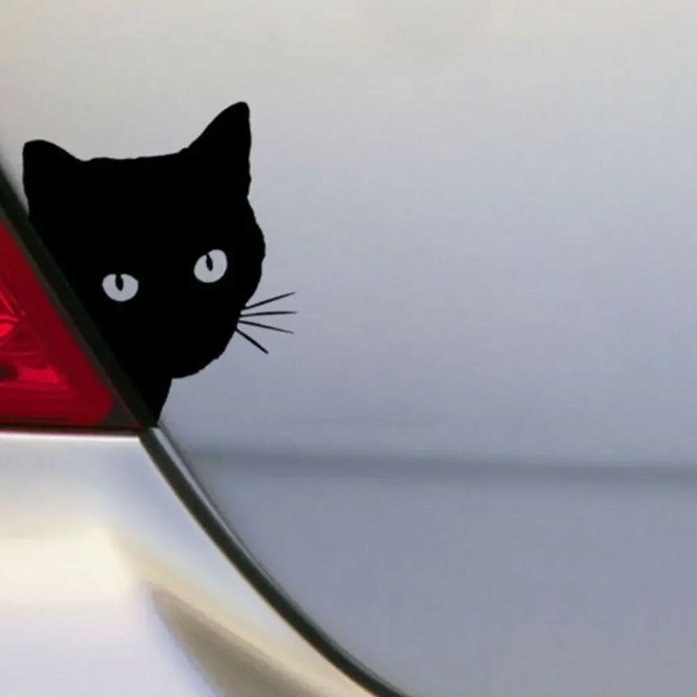 Creative Black Cat Face Peeking on Car