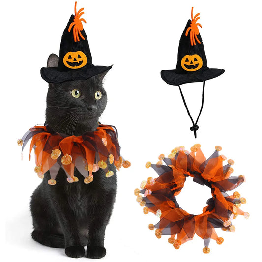 Halloween Cat Costumes