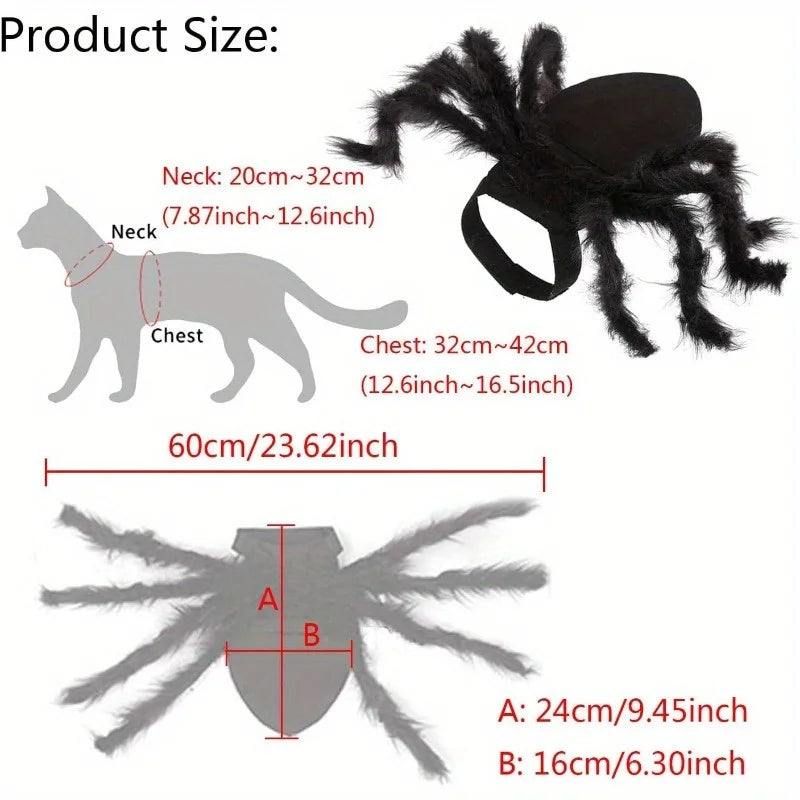 Spider  Black Cat Costume