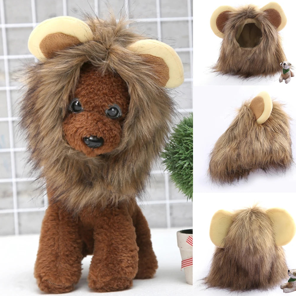 Lion Mane Cat Costume with Ears 🦁