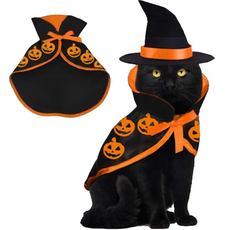 Cat Costumes  Halloween