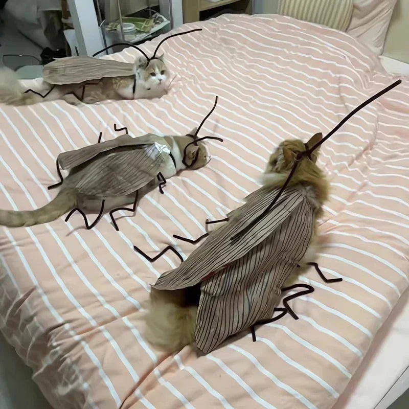 Cockroach Cat Costume – Funny Halloween Pet Outfit 🪳🐾