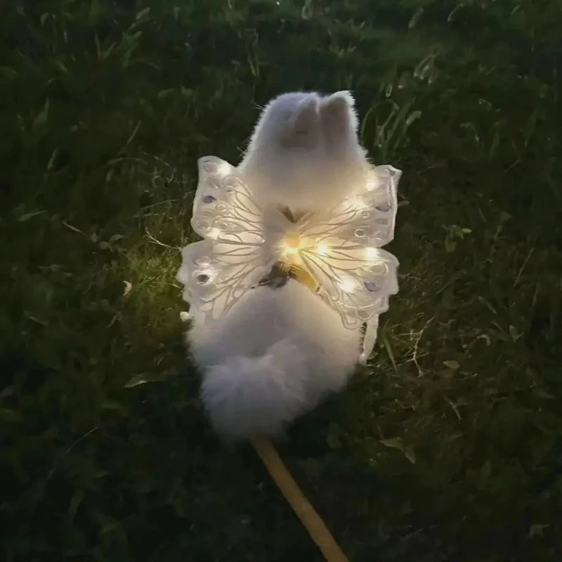 Cat Wings Glowing Butterfly