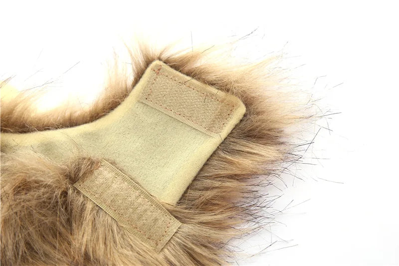 Lion Mane Cat Costume with Ears 🦁