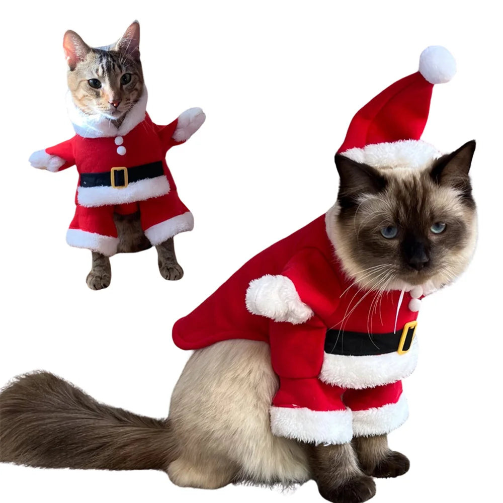 Cat Christmas Costume