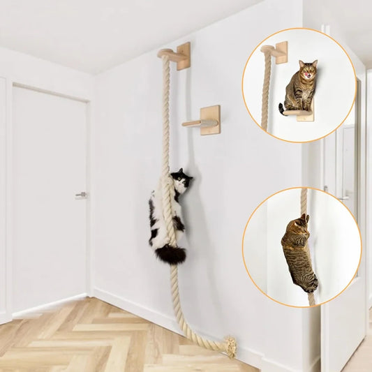 Wall-Mounted Cat Climbing Rope