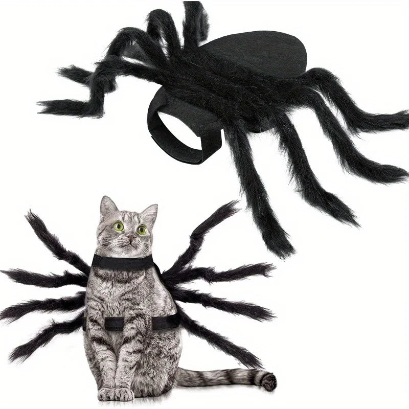 Spider  Black Cat Costume
