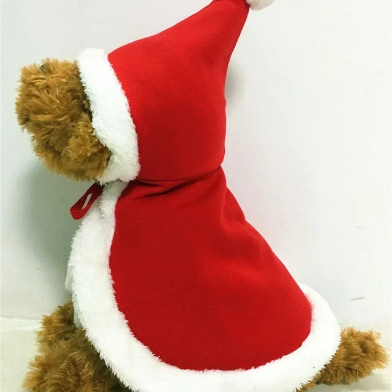 Cat Costume Santa