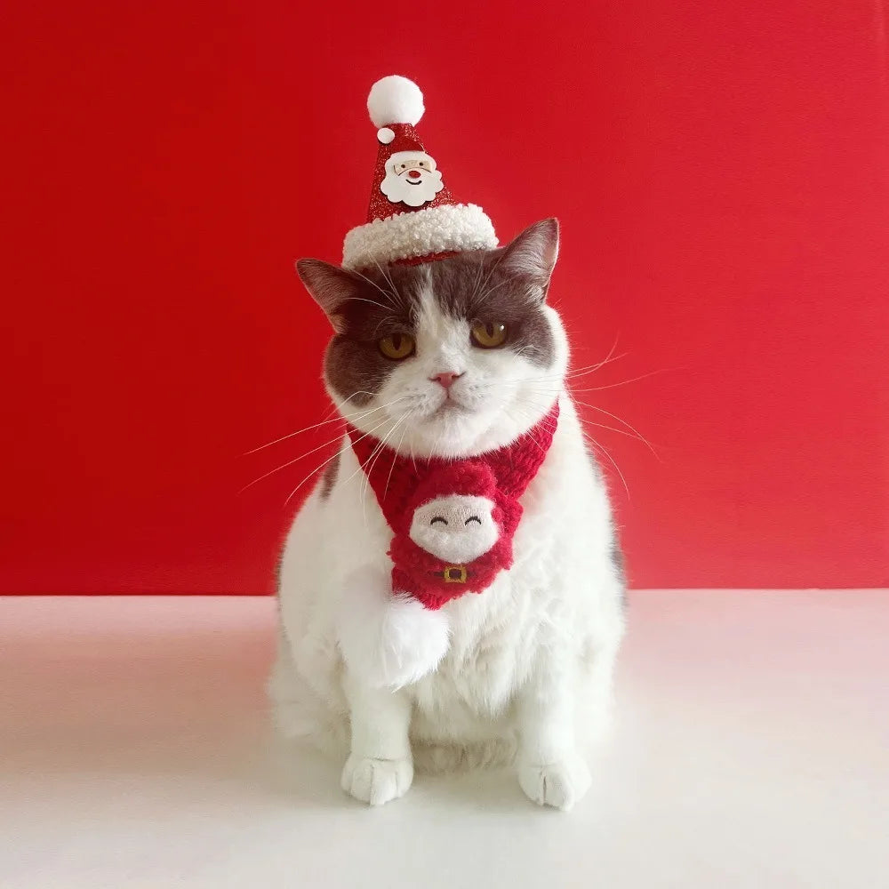 Christmas Cat Hat and Scarf