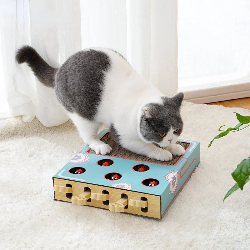 Interactive Cat Toy Whack-a-Mole Box with Scratching Pad