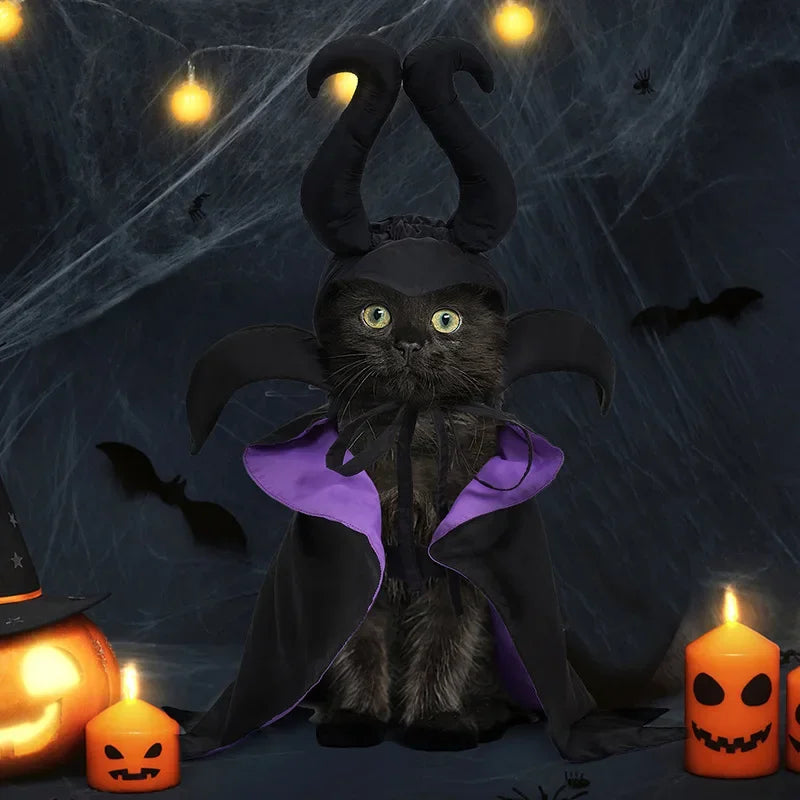 Halloween Cat Costumes