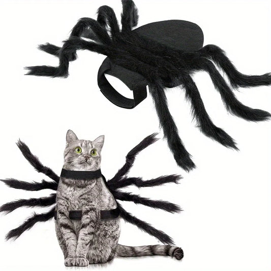 Spider  Black Cat Costume