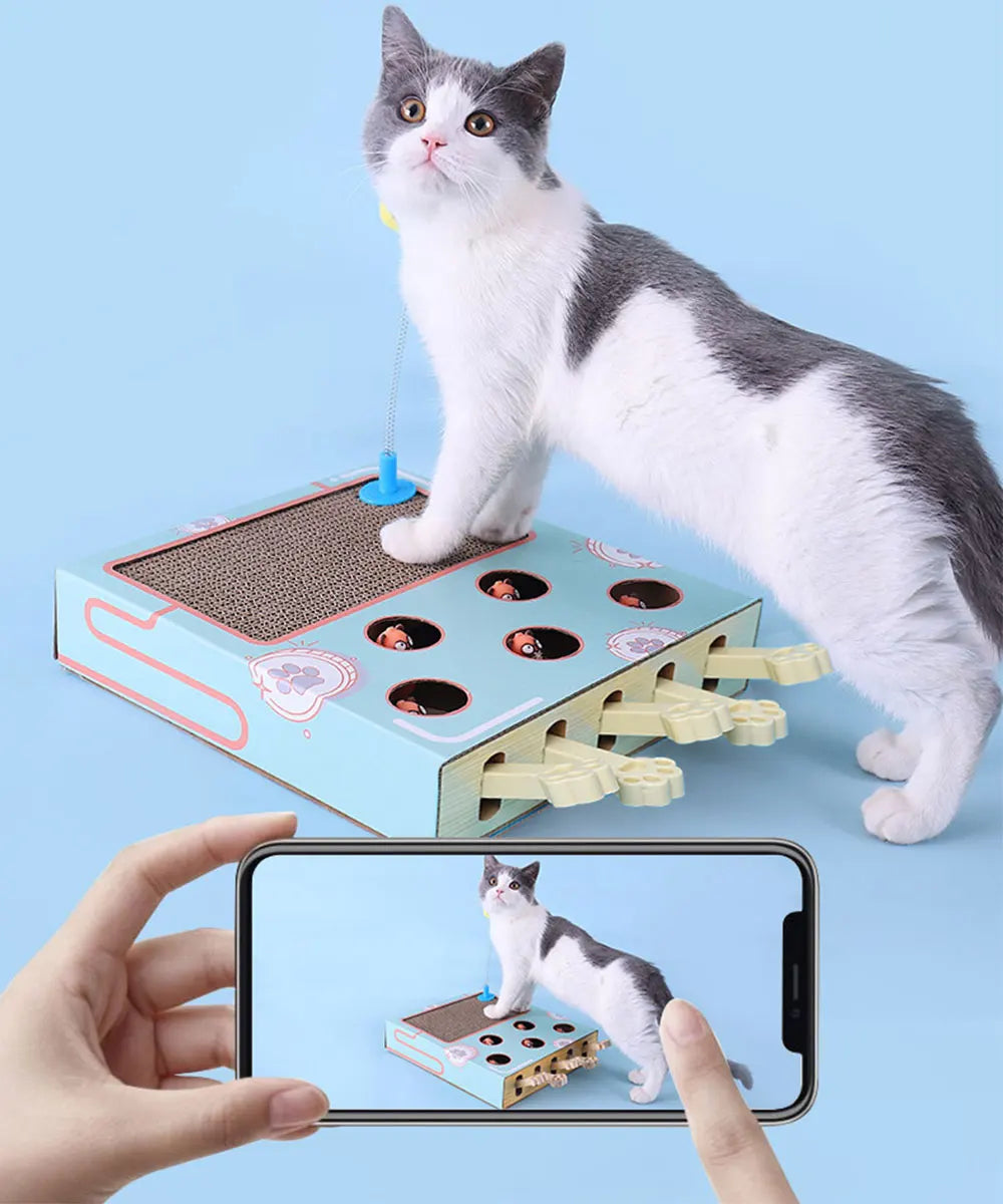 Interactive Cat Toy Whack-a-Mole Box with Scratching Pad