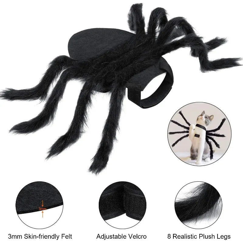 Spider  Black Cat Costume