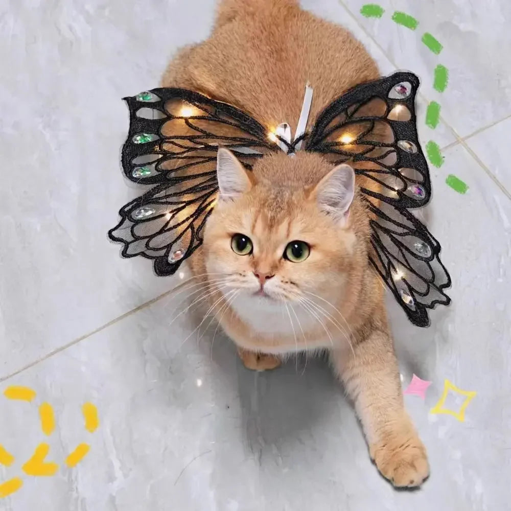 Cat Wings Glowing Butterfly