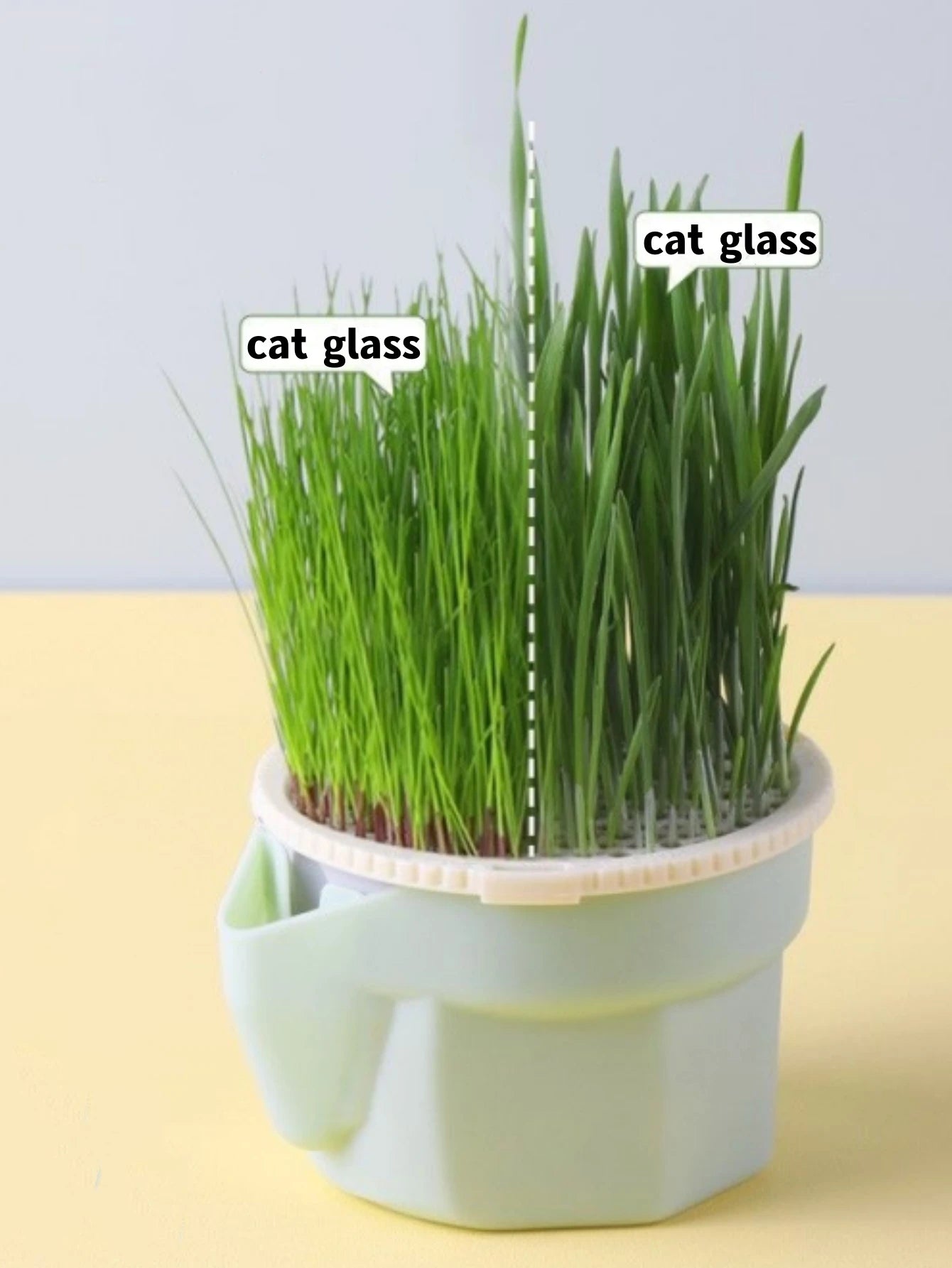 Cat Grass Growing Cup