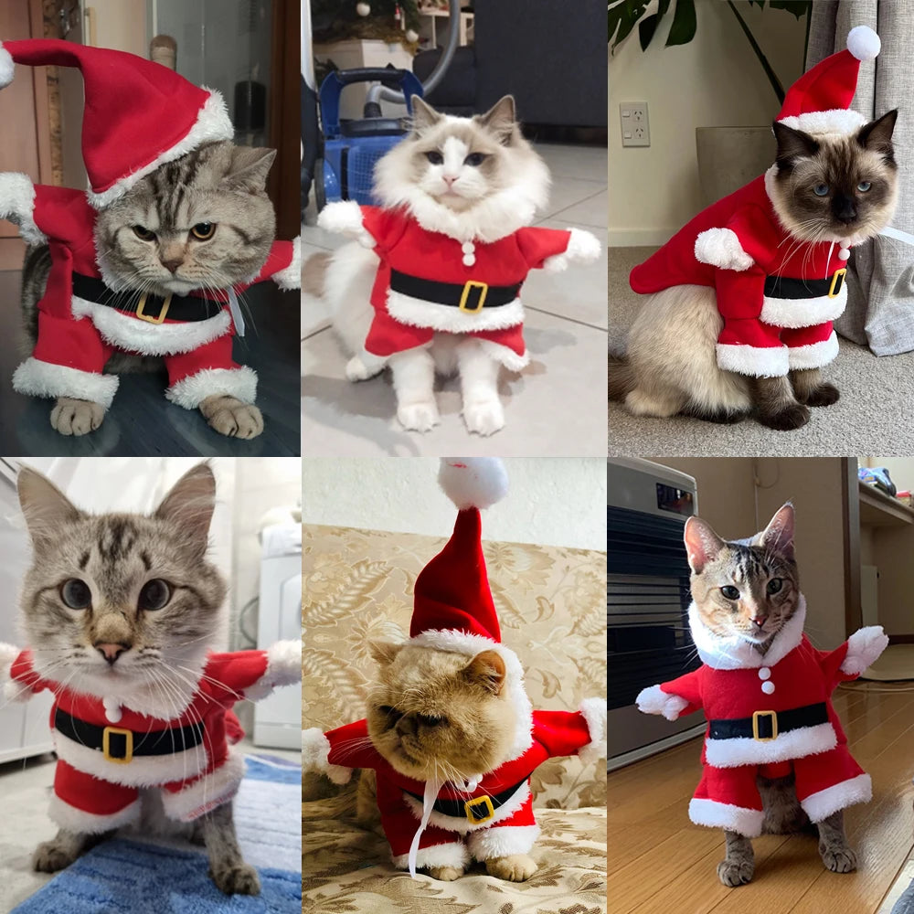 Cat Christmas Costume