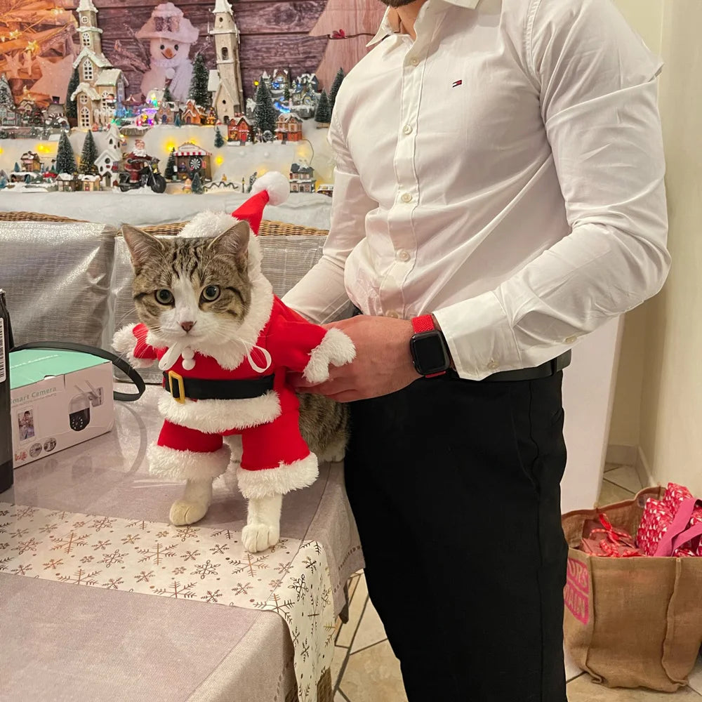 Cat Christmas Costume