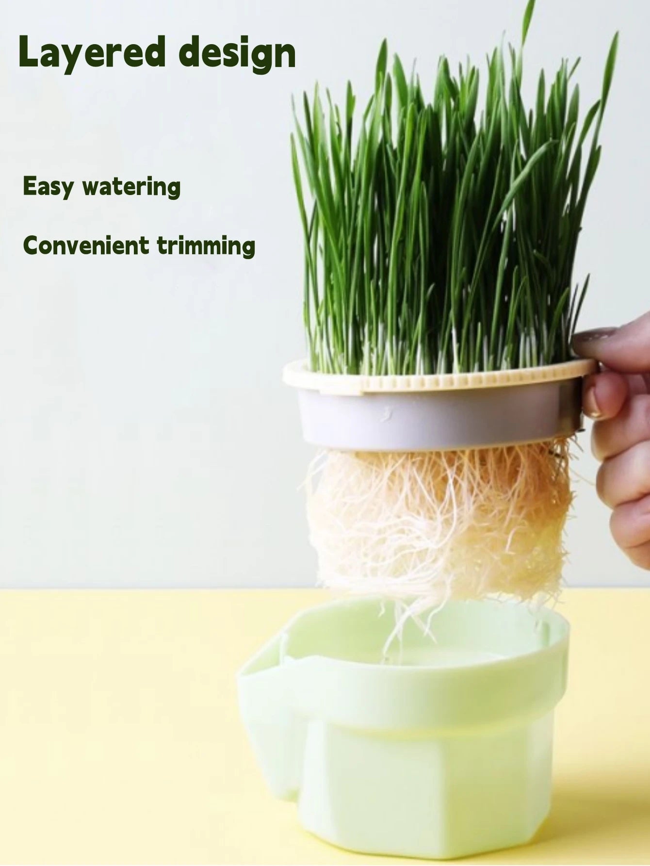 Cat Grass Growing Cup