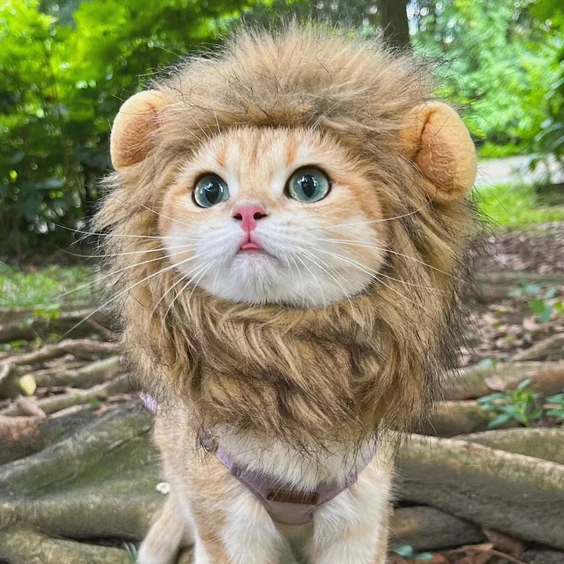 Lion Mane Cat Costume with Ears 🦁