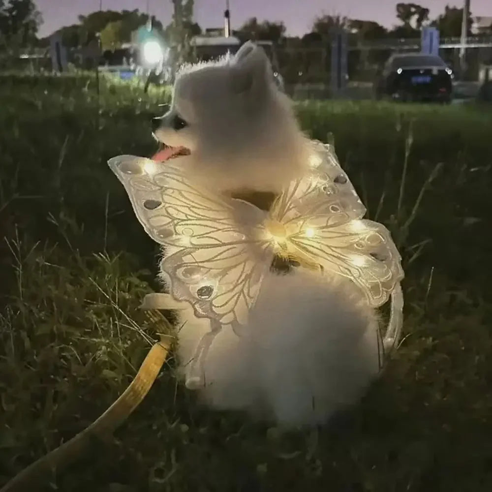Cat Wings Glowing Butterfly