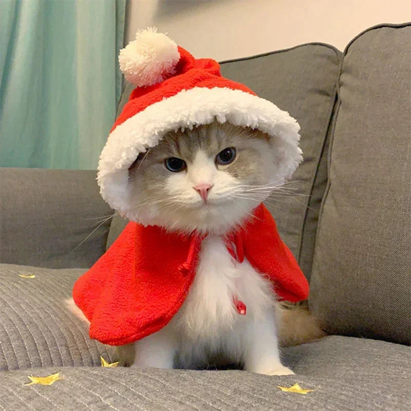 Funny Cat Christmas Costume