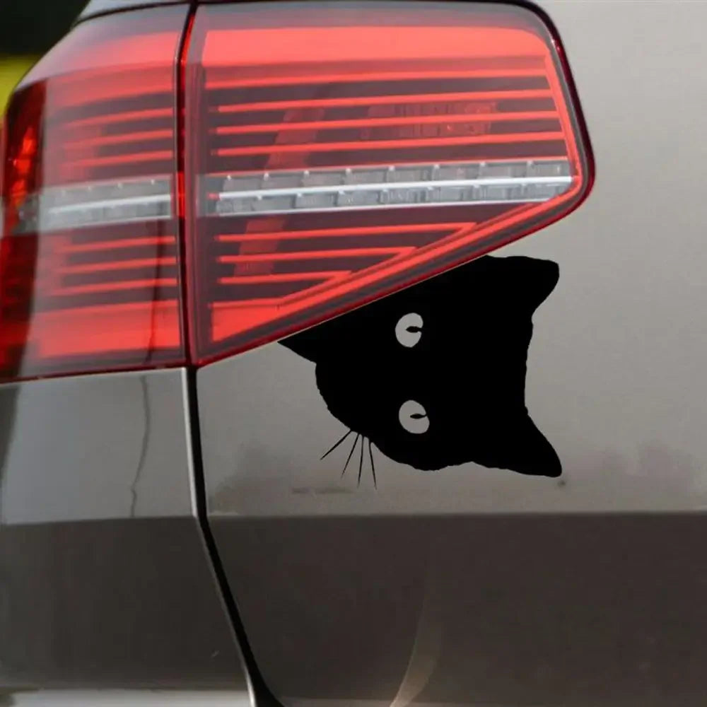 Creative Black Cat Face Peeking on Car