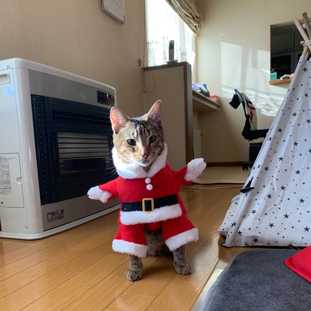 Cat Christmas Costume