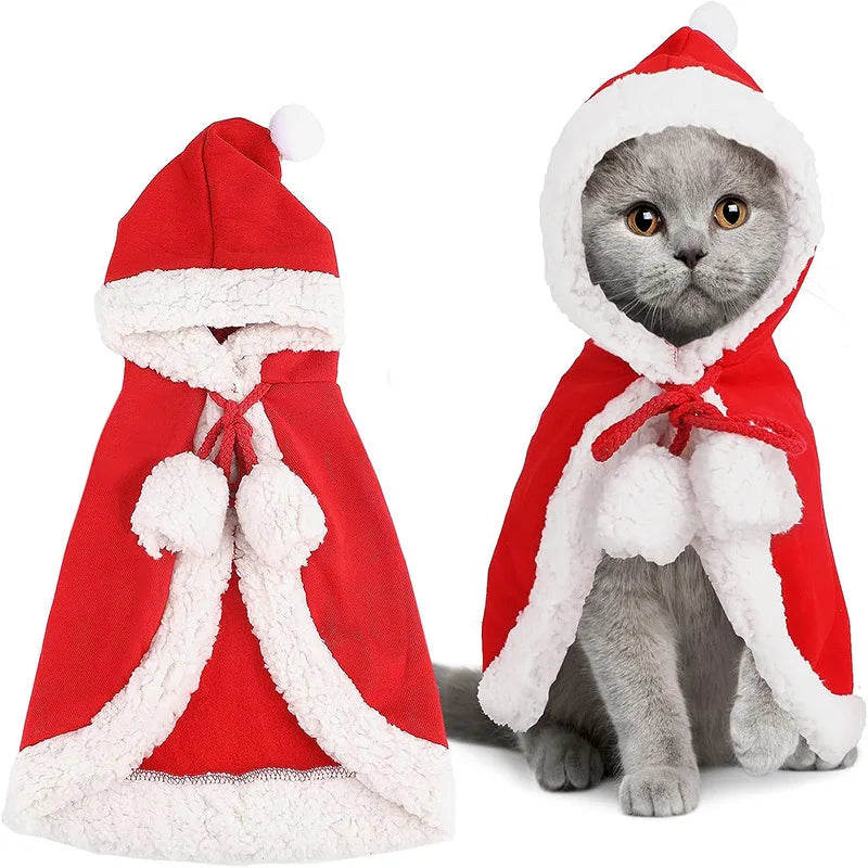 Cat Costume Santa