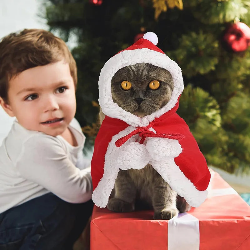 Cat Costume Santa