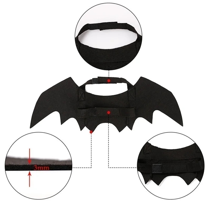 Cute Bat wings For Cats