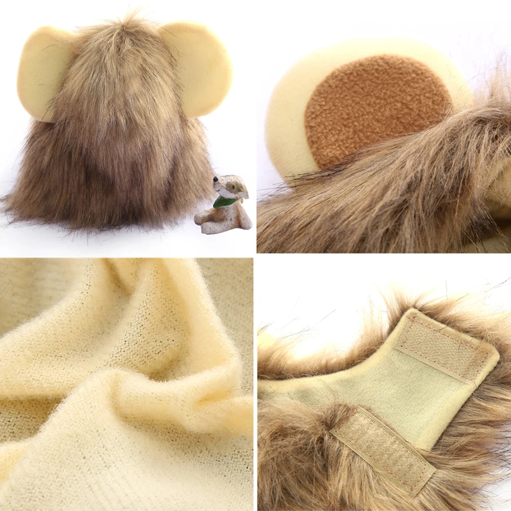 Lion Mane Cat Costume with Ears 🦁
