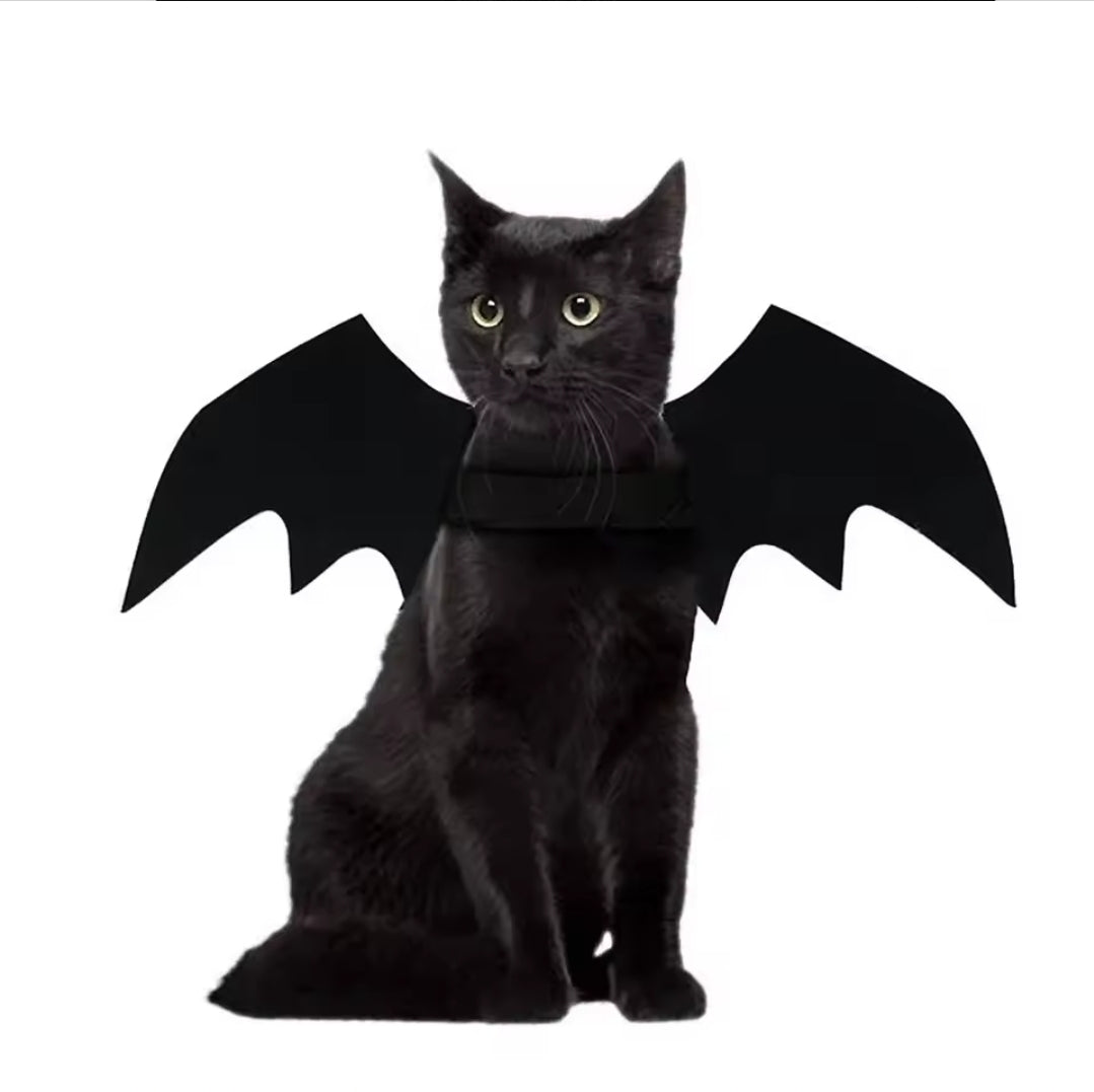 Cute Bat wings For Cats